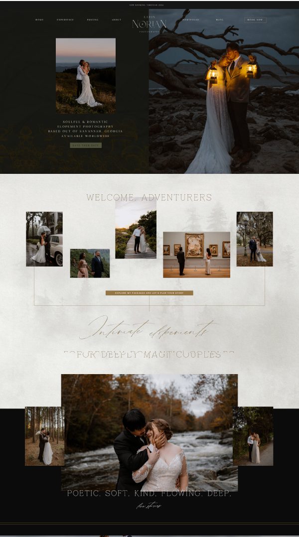 Bella Maven portfolio image