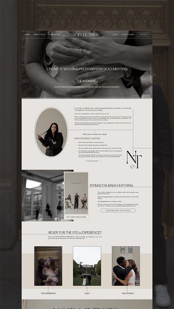 Wild Cacti Creative portfolio image