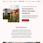 Desktop view of the Solara Showit website template by VERVE & COLOR