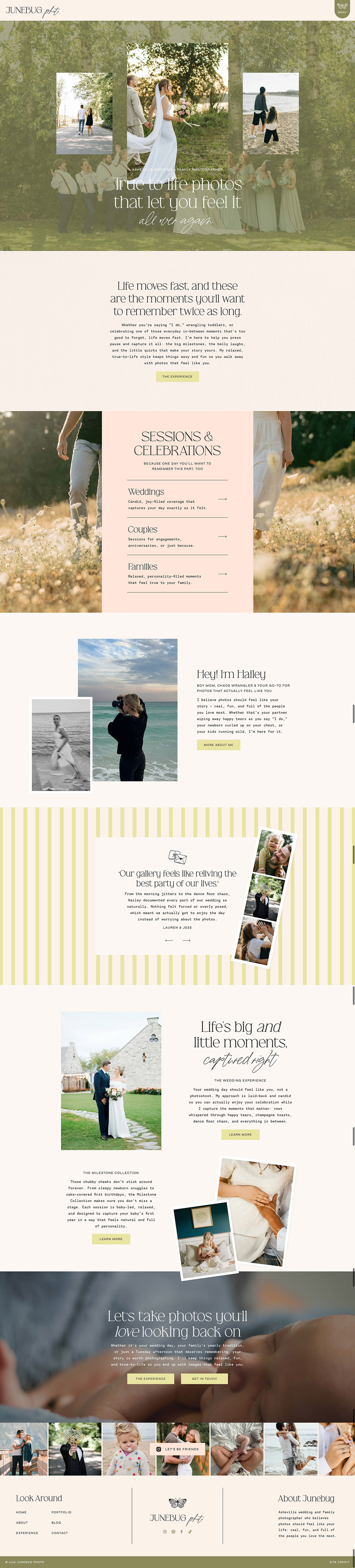 junebug Design's thumbnail