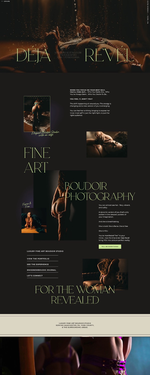 Unbridled Form portfolio image