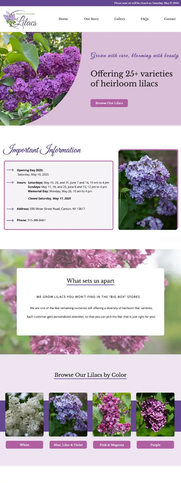 Home Page Screenshot of North Country Lilacs website by The Creative Impact. Purple and lilac color scheme with images of purple, pink, lilac, and white lilacs